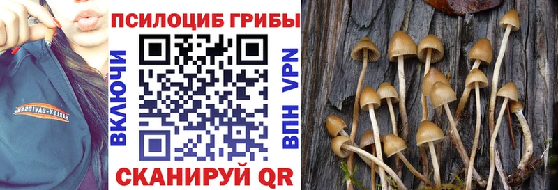 Псилоцибиновые грибы ЛСД  Дрезна 